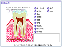 アニメで学ぶ歯の知識